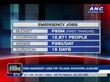 P50-M emergency jobs for typhoon survivors launched