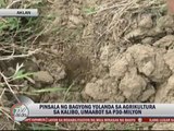 Agricultural damage in Aklan reaches P30M