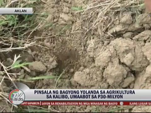Agricultural damage in Aklan reaches P30M