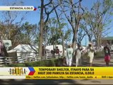 Foreigners, locals unite to help typhoon survivors
