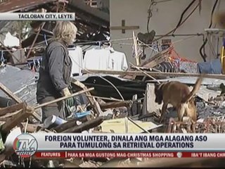 Скачать видео: More cadaver dogs needed in 'Yolanda' hit areas