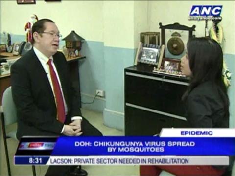 DOH warns public against chikungunya spread