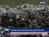 Typhoon survivors given rotten rice?