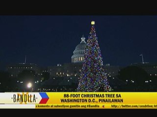 Brazil lights up biggest floating Christmas tree