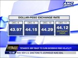 BSP ready to curb excessive peso volatility