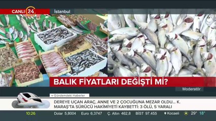 Balık sezonu açıldı