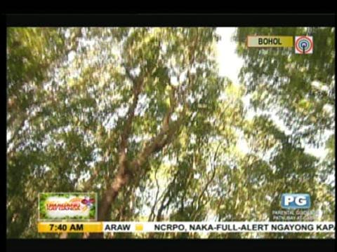 Winnie Cordero visits Bohol after quake