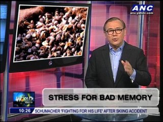 Teditorial: Stress for bad memory