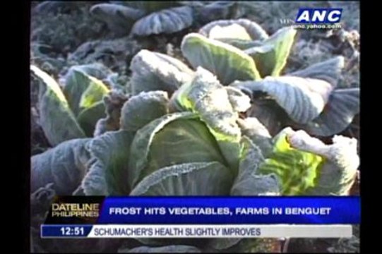 Frost hits vegetables, farms in Benguet