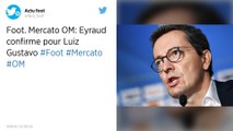 Mercato : Marseille laisse filer Luiz Gustavo à Fenerbahçe