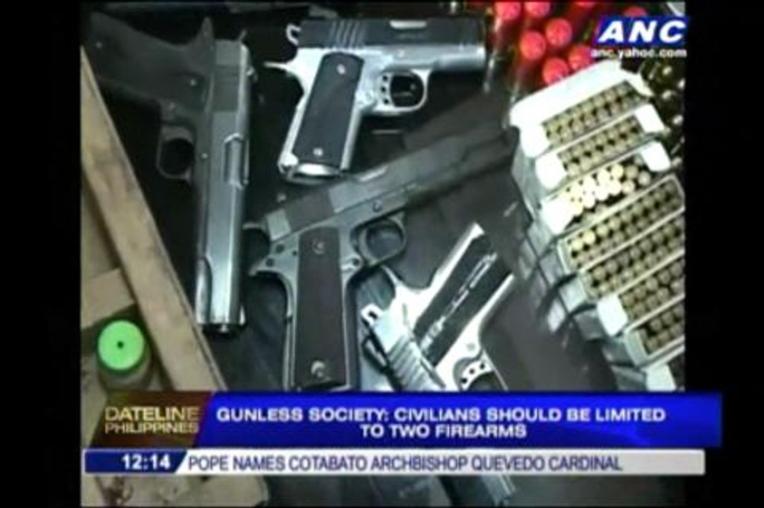 Too many guns: Gunless Society wants limit to gun ownership