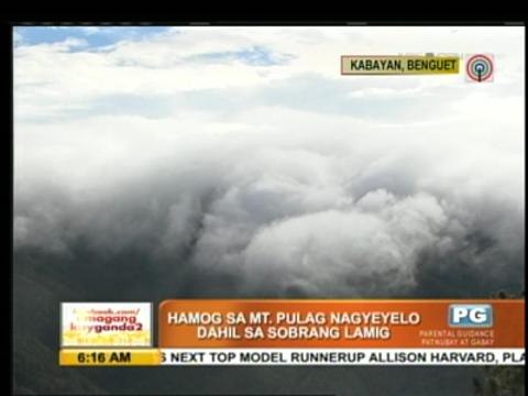 Freezing weather in Mt. Pulag draws tourists