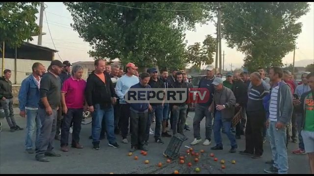 Report TV - Korçë, fermerët bllokojnë rrugën, hedhin në tokë prodhimet bujqësore:S'na lënë të shesim