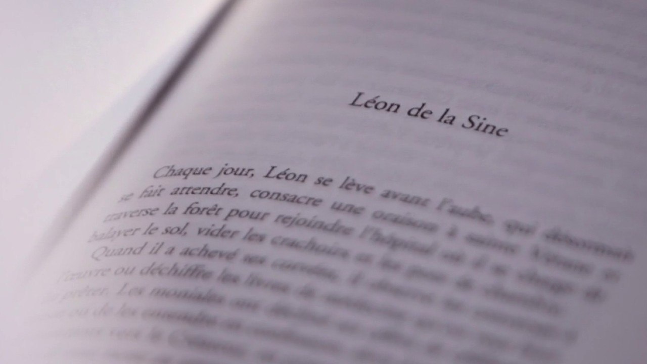 Librairies - Les libraires aiment…