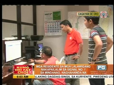 120 turtles rescued in Palawan