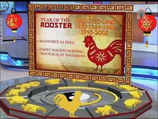 Predictions for the 'Monkey', 'Rooster', 'Dog' and 'Pig'