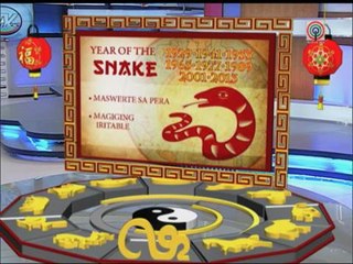 Predictions for the 'Dragon', 'Snake', 'Horse' and 'Sheep'