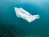 ¿En qué año habrá más plásticos que peces en los mares?