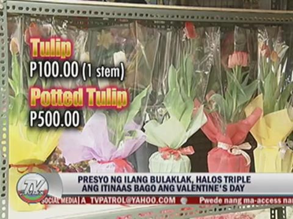 20140212-Valentines gifts VO WinnieC