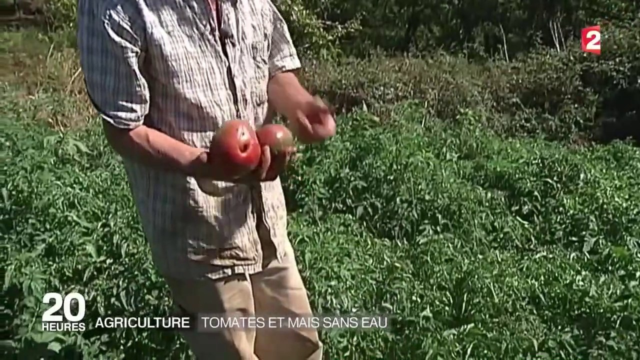Pascal Poot : Ce Français Qui Cultive Ses Légumes SANS EAU !
