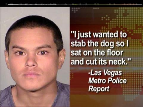 Fil-Am faces jail term for slashing dog's throat