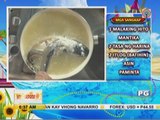 Recipe for lent: Ginataang hito con mangga