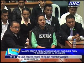 Hearing on Napoles plea resumes