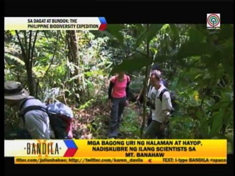 Mt. Banahaw home to unique animals, plants
