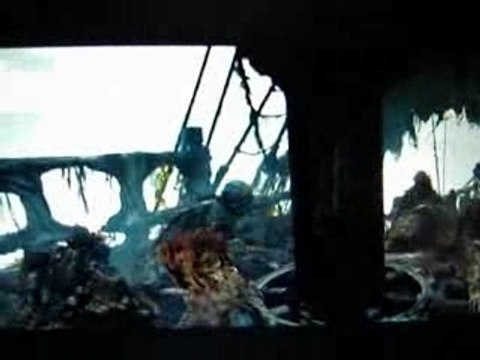 primates des caraibes 3