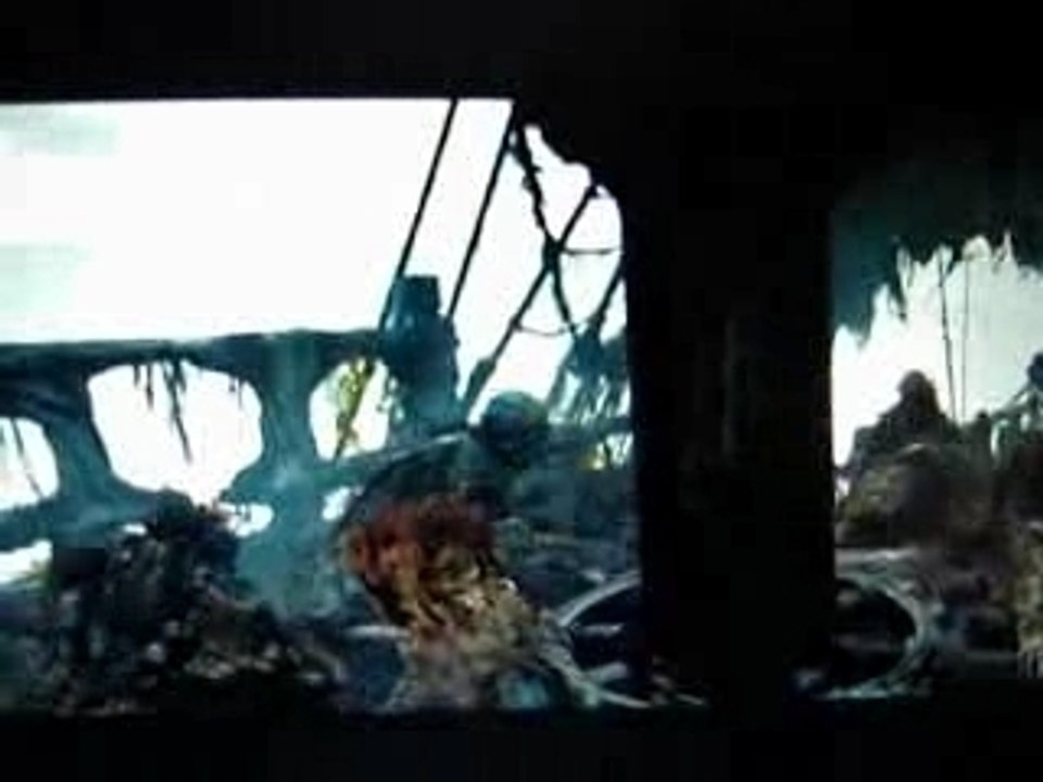 primates des caraibes 3