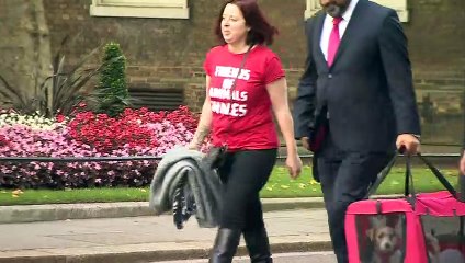 Boris Johnson’s rescue puppy arrives at Downing Street