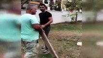 Sokak köpeğine kalasla saldıran adam kamerada