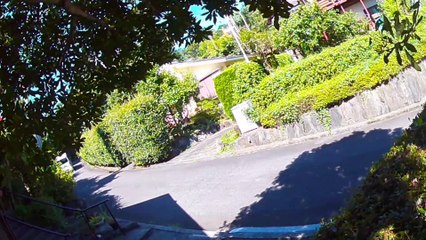 EDR September #2 2019 Noise In The Neighborhood