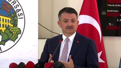 Çekirdeksiz kuru üzümde müdahale alımı başlıyor - Bakan Pakdemirli