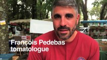 Clapiers : François Pedebas, tomatologue, partage sa passion des tomates