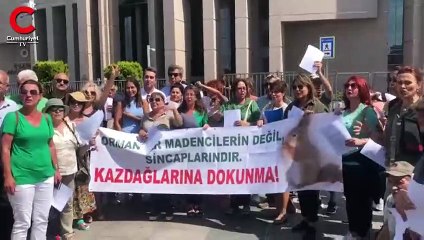 Kaz Dağları’nı talan eden kişiler hakkında suç duyurusu