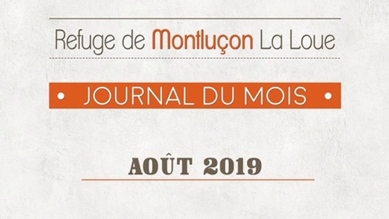 Un mois au refuge SPA de Montluçon : août 2019