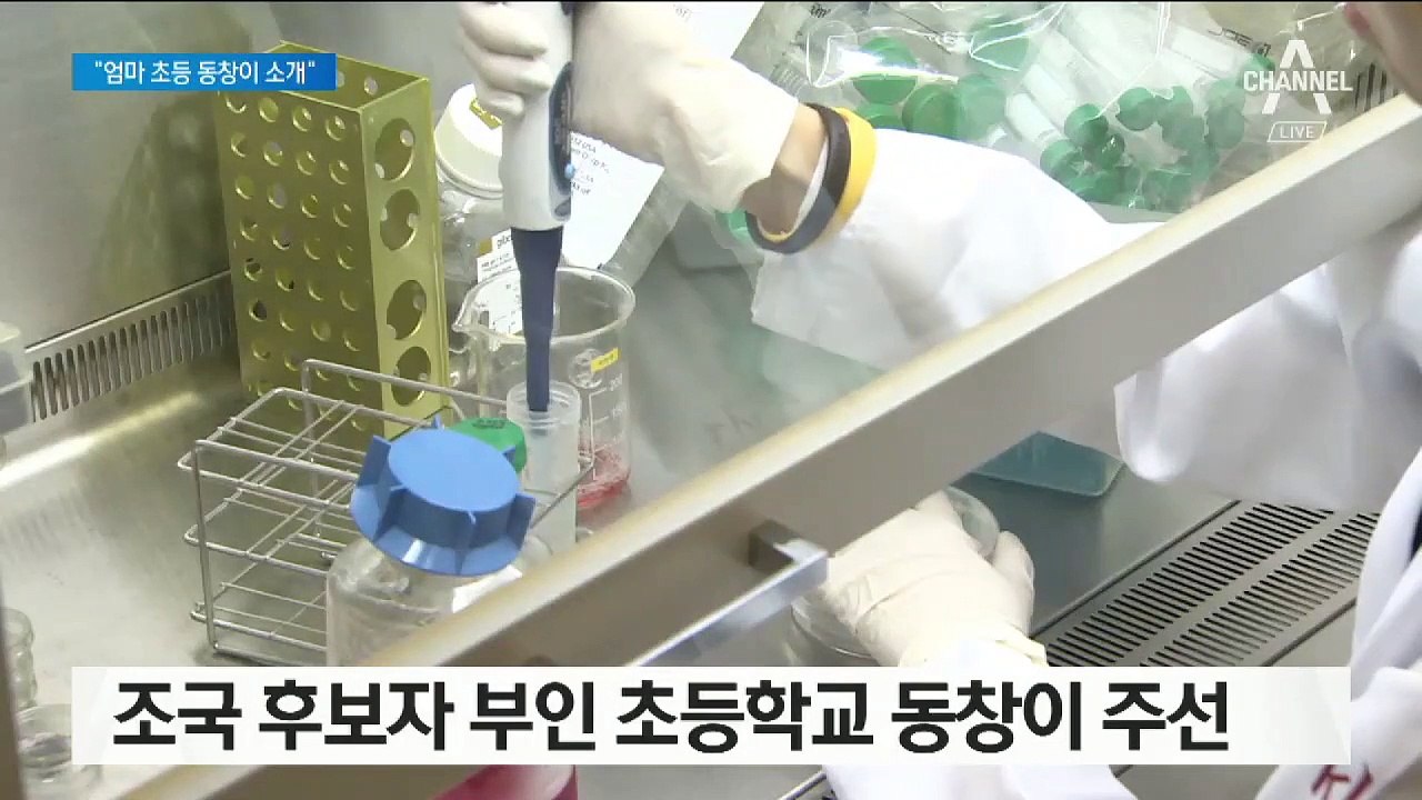 조국 딸, 엄마 초등학교 동창 통해 KIST에서 인턴