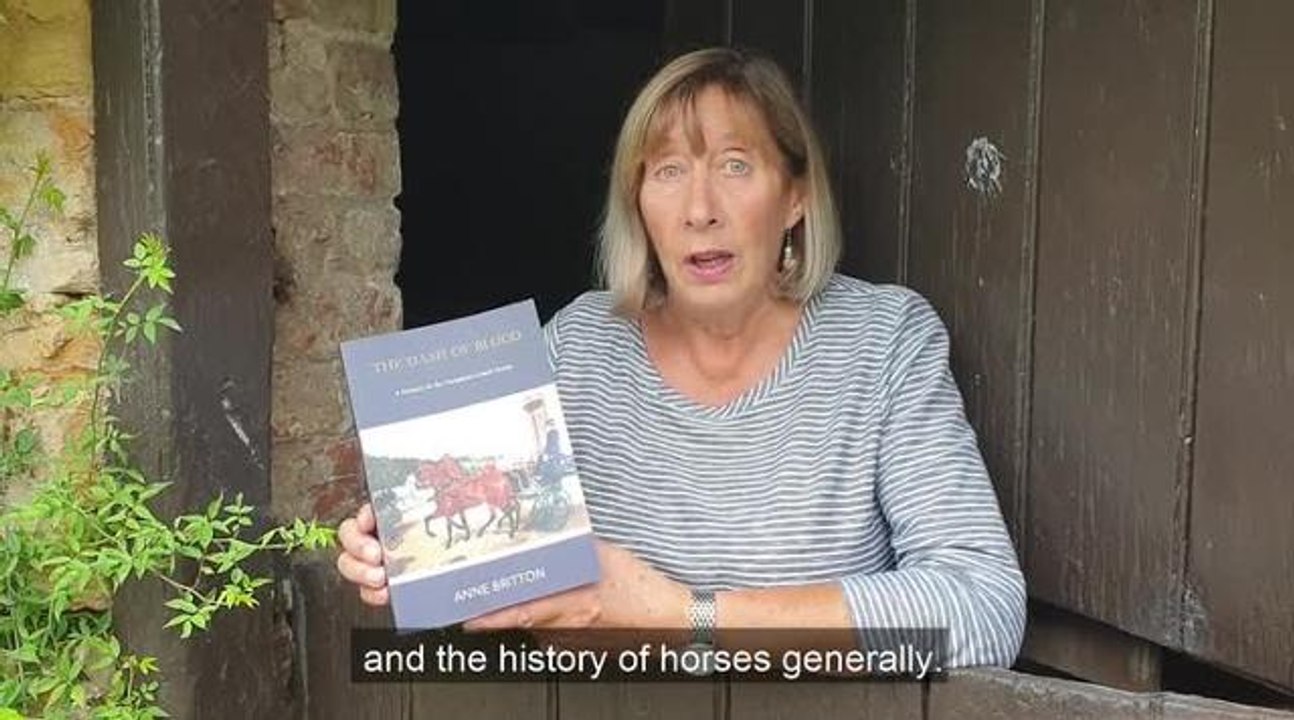 Ann Britton author