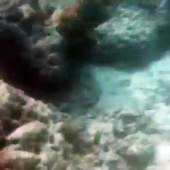 saipan managaha