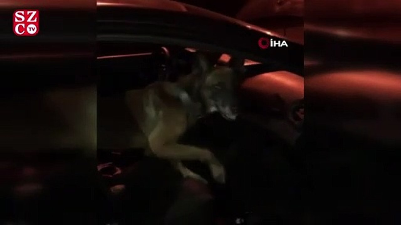 Hatay’da 40 kilo eroin ele geçirildi