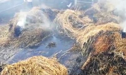 Noci (BA) - Brucia una stalla, animali salvati da Vigili del Fuoco (02.09.19)