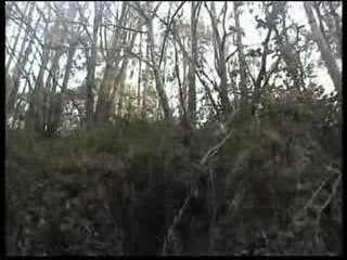 Lagunas de Salave ( Tapia ) 2008