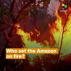 Who set the Amazon on fire?