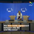 EU-Mercosur Trade Agreement - Apocalyptic Effect On Amazon