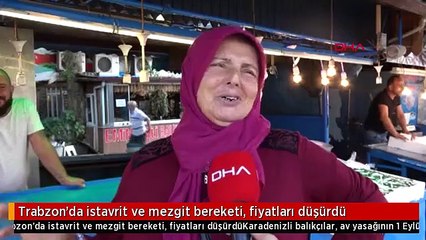 Trabzon'da istavrit ve mezgit bereketi, fiyatları düşürdü