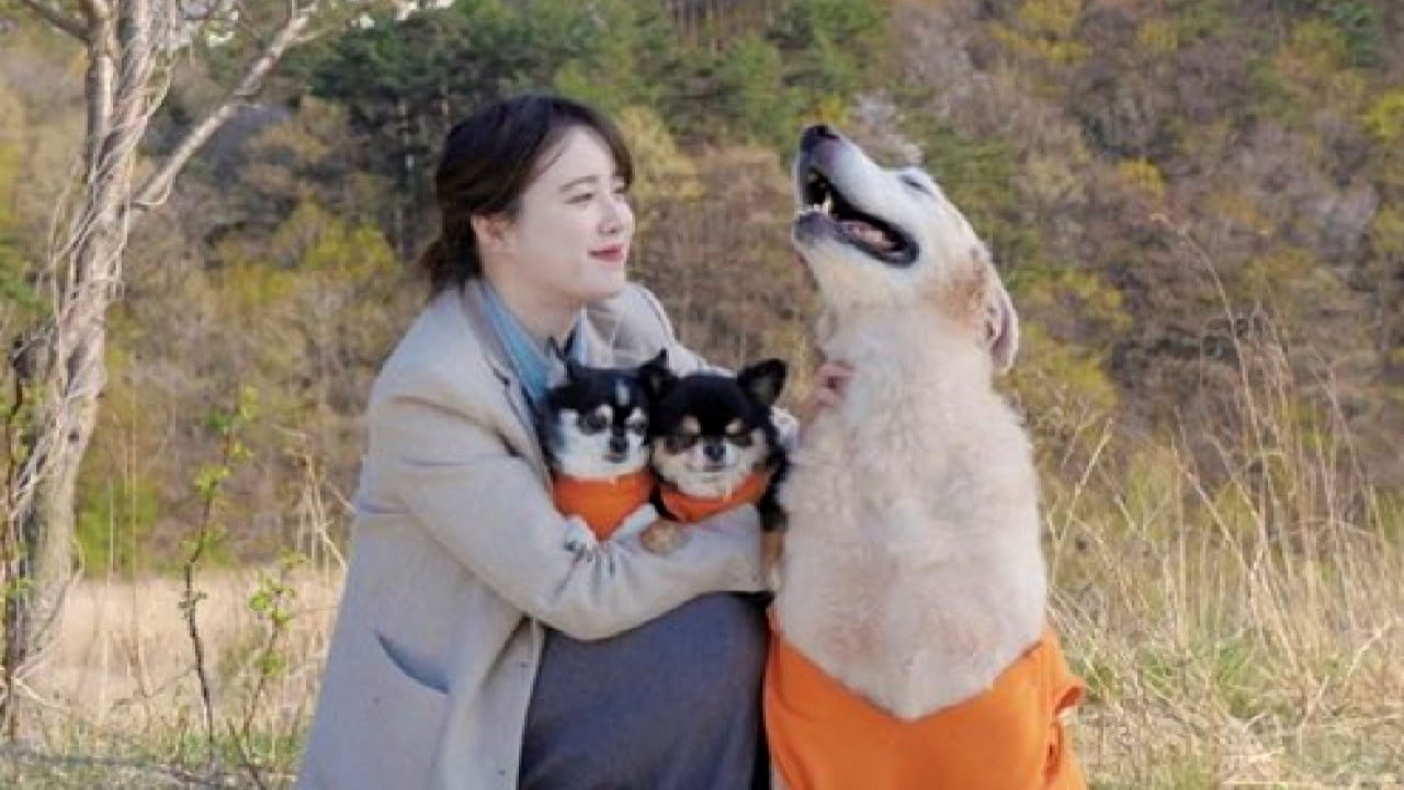 배우 구혜선, 연예계 활동 잠정 중단 / YTN