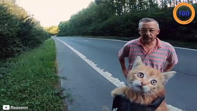 Il s’arrête en urgence pour sauver un chaton en plein milieu de la route !