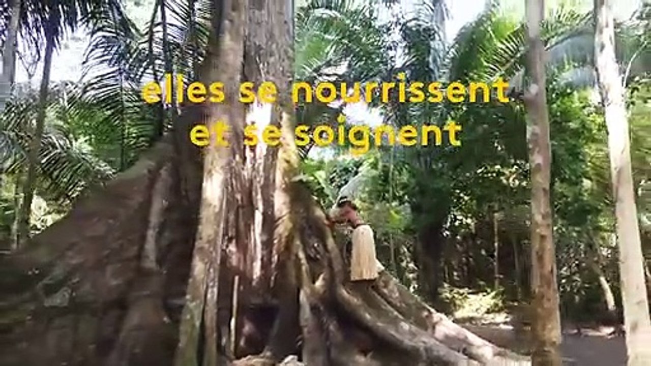 Amazonie : la prière contre le feu