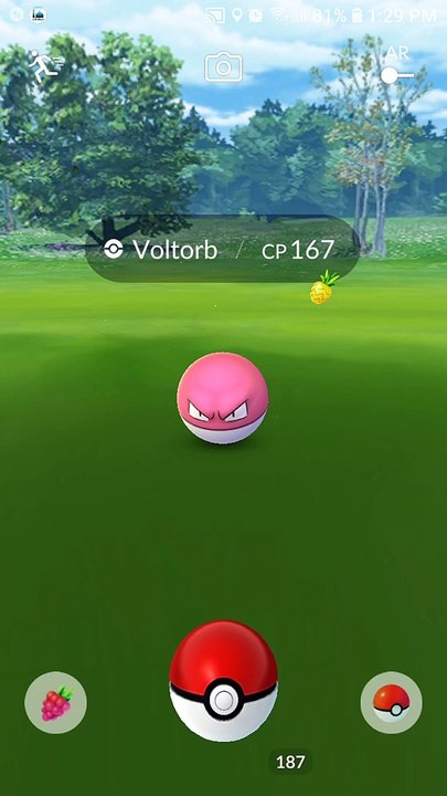 Pokémon GO  Voltorb